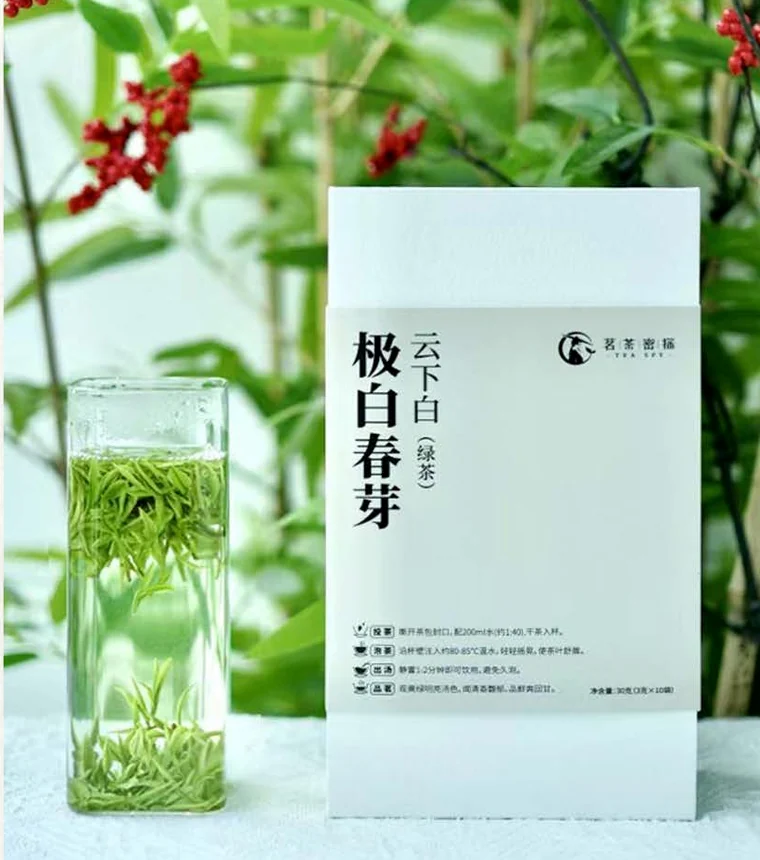 安吉白茶极白春芽包装与冲泡茶汤